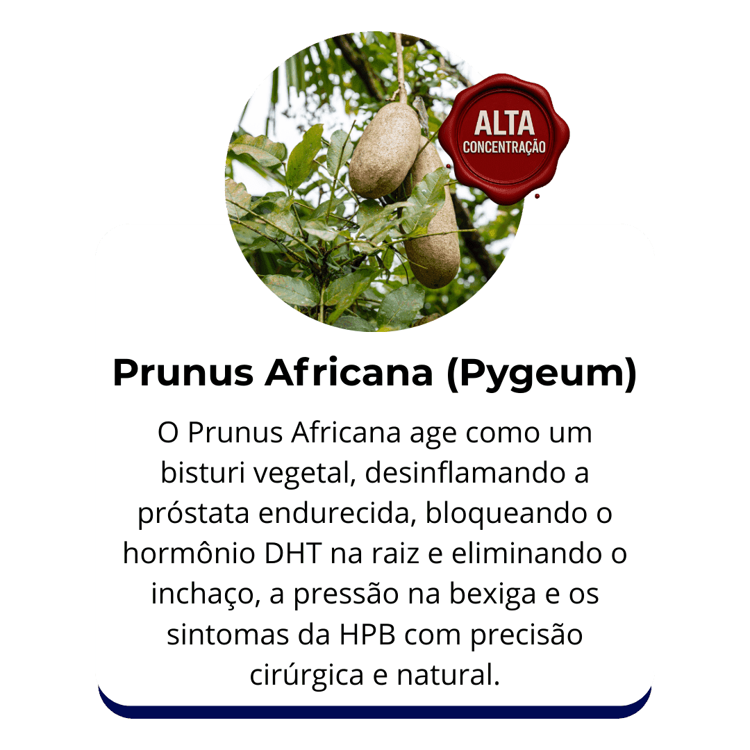 Prunus Africana (Pygeum)