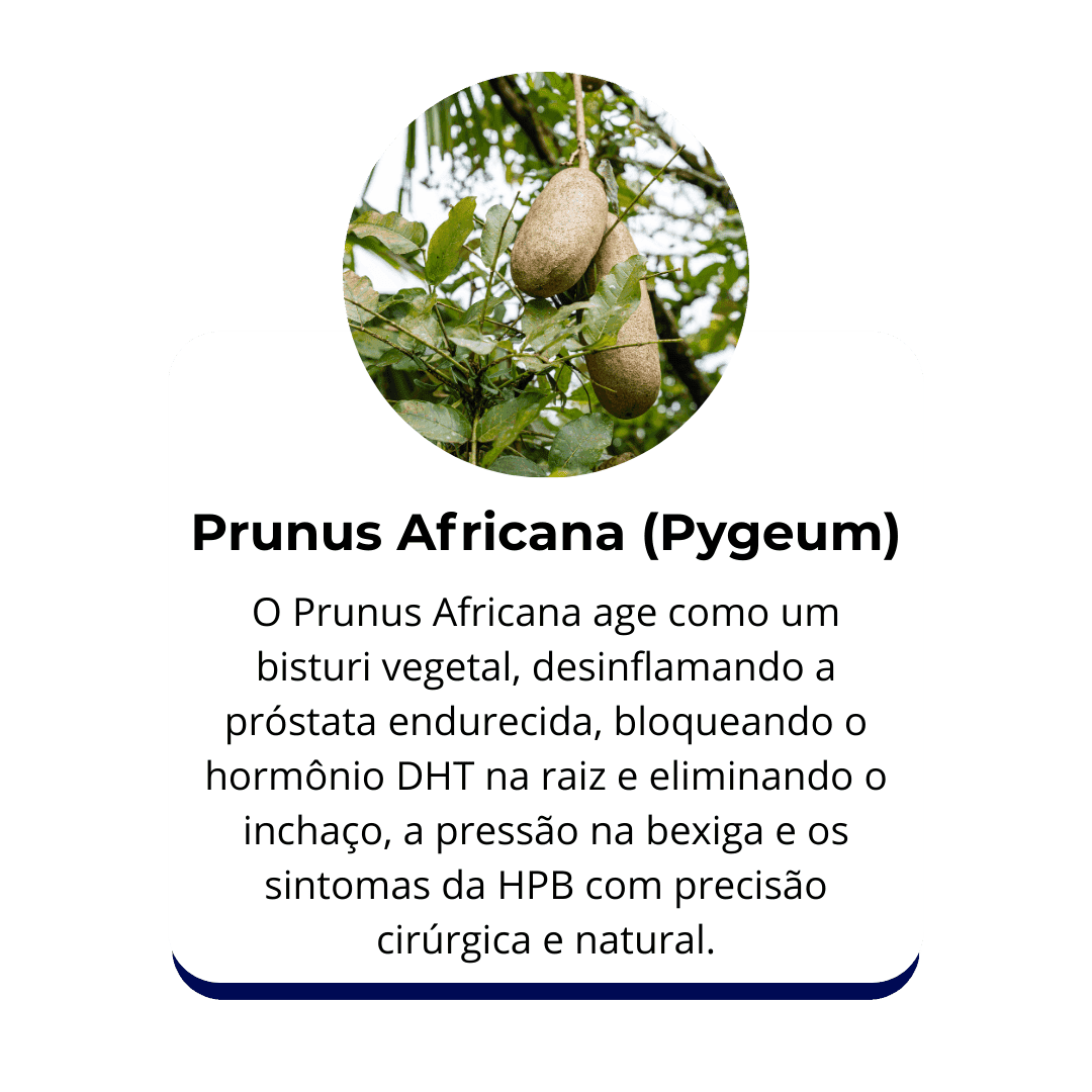 Francisco, 58 anos, Fortaleza-CE